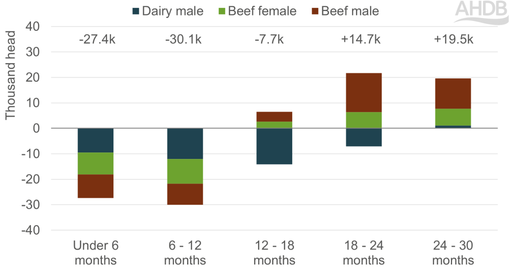 Chart showing year-on-year change in GB cattle population by age and type
